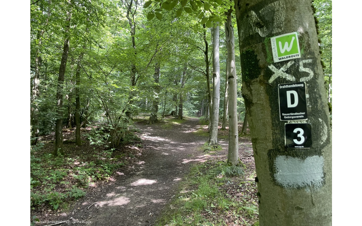 Pfad Nähe Danzturm Iserlohn