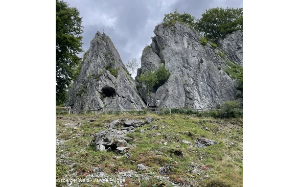 Wildpark Bilsteintal Warstein 