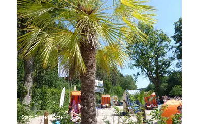 Strandlandschaft mit Palmen und Strandkörben von d