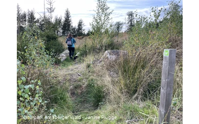 Sauerland-Waldroute Etappe Lattenberg-Neuhaus (c) Janine Plugge_CC-BY-SA (36).jpeg