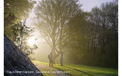 Ranger im Morgennebel 
