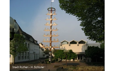 Zunftbaum vor dem Rathaus