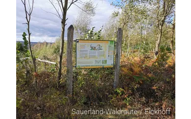 Sagenstation Sauerland-Waldroute