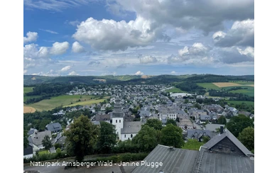 Eversberg Blick von Burgruine