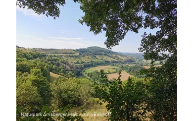 Rittersprung Marsberg an der Sauerland-Waldroute