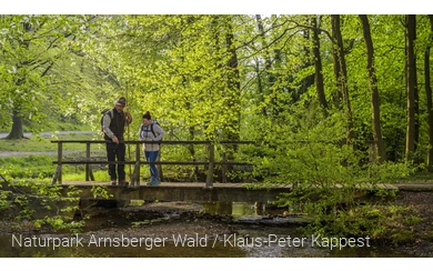 Mit dem Ranger auf der Sauerland-Waldroute
