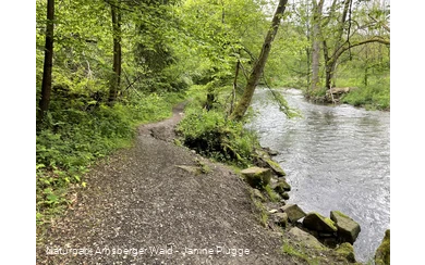 Fluss im Hönnetal 