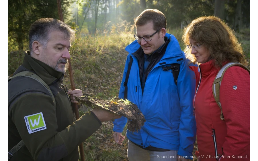 Ranger mit Baumrinde