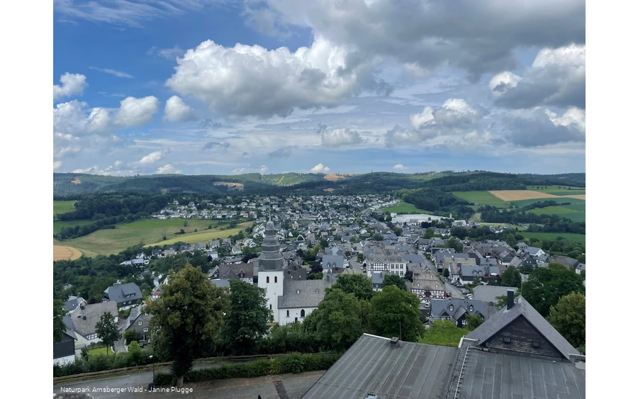 Eversberg Blick von Burgruine