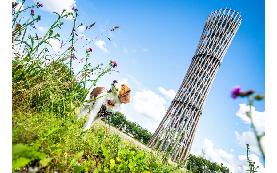 Lörmecketurm