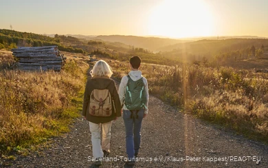 Auf der Waldroute zwischen Sundern und Arnsberg