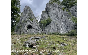 Wildpark Bilsteintal Warstein  Wildpark Bilsteintal Warstein