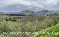 Olsberg Langer Berg