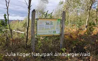 Sagenstation Schatzgräber in Stockum