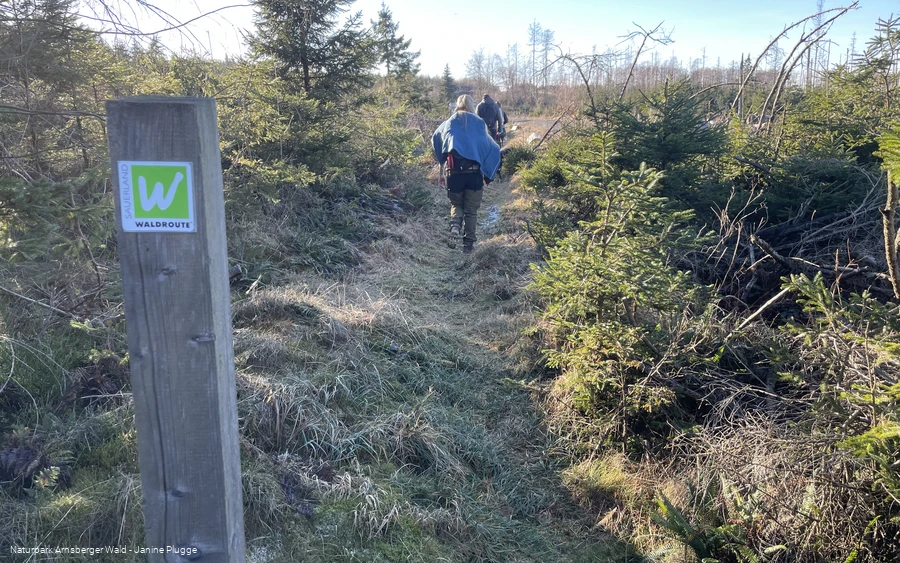 Wandergruppe im Januar auf der Sauerland-Waldroute