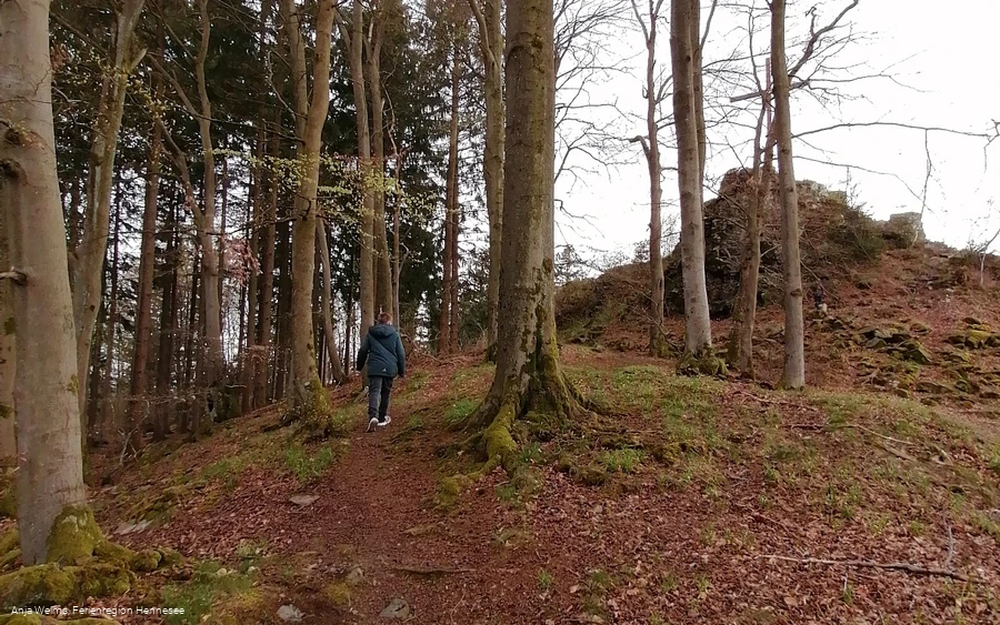 Aufstieg zum Kreuz auf dem Steinberg