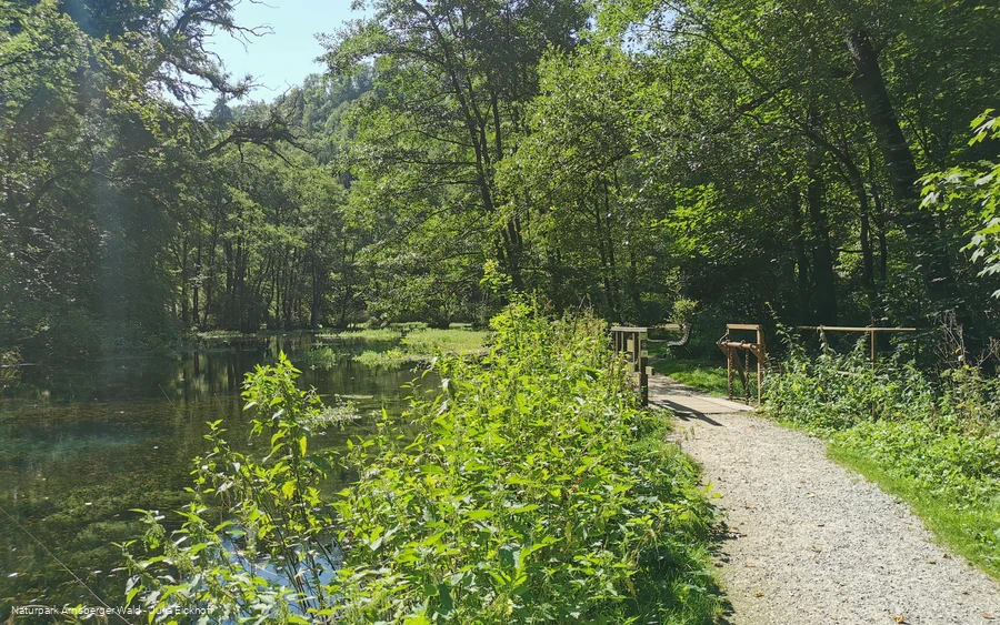 Park an den Almequellen Brilon