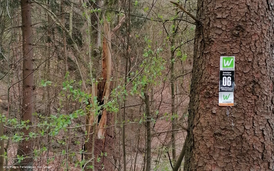 Wegmarkierungen Rundweg Steinbergruine, Sauerland Waldroute, O6