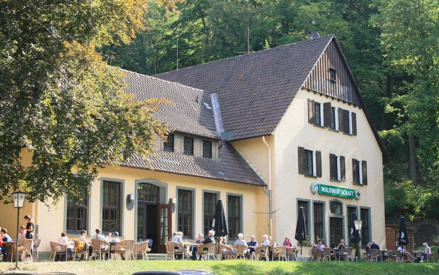 Waldwirtschaft, Warstein