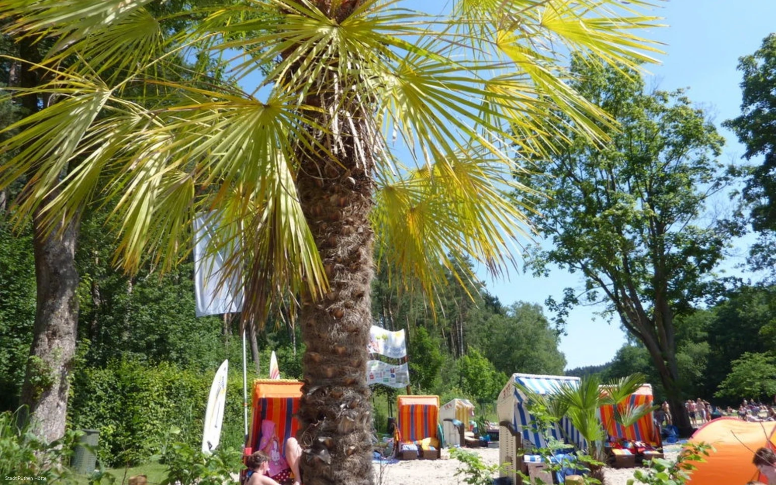 Strandlandschaft mit Palmen und Strandkörben von d