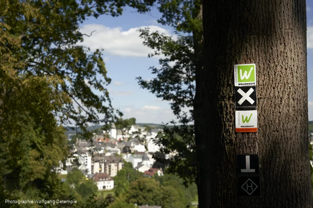 Wandern um Arnsberg Fotograf. W. Detemple klein.jpg