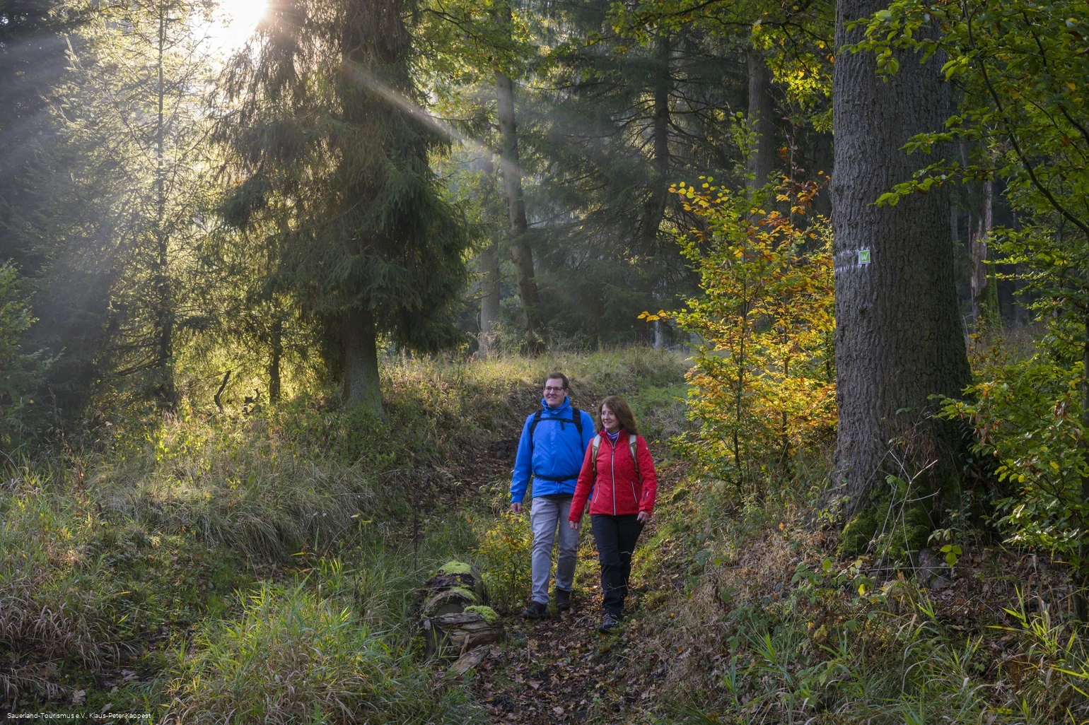 Auf der Sauerland-Waldroute am Möhnesee