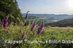 Landschaft Sauerland