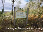 Sagenstation Schatzgräber in Stockum