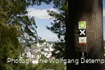 Wandern um Arnsberg Fotograf. W. Detemple klein.jpg