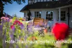 Biergarten Hotel Waldhaus