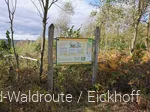 Sagenstation Sauerland-Waldroute