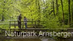 Mit dem Ranger auf der Sauerland-Waldroute